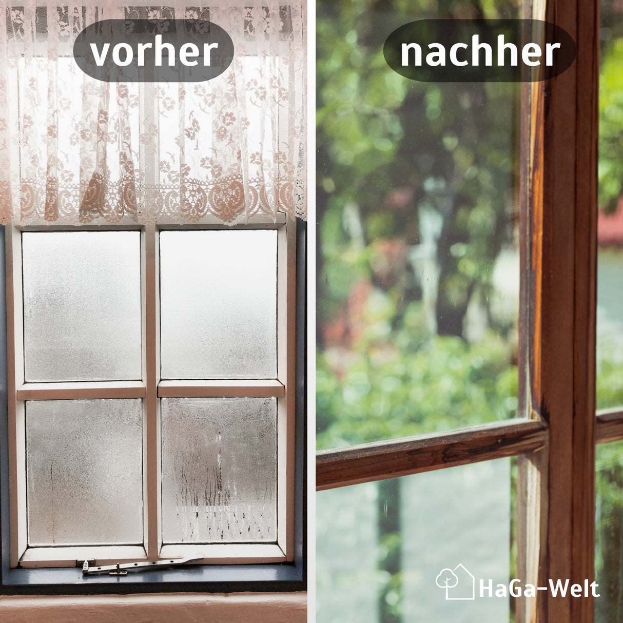 Luftentfeuchter Set inkl. Nachfüllpacks - Gutes Raumklima für Räume bis zu 36 m² – HaGa-Welt