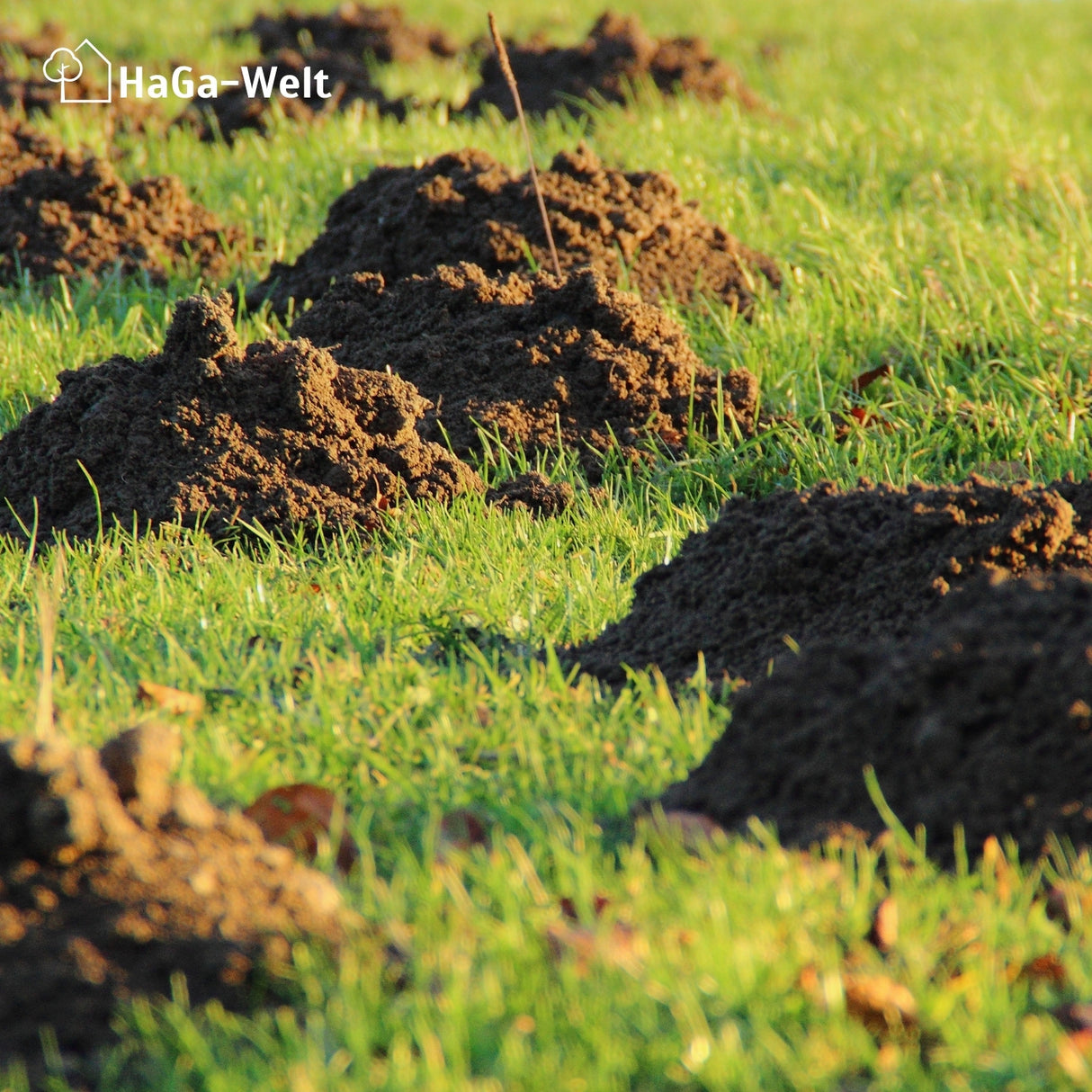 Maulwurfnetz – effektiver Schutz gegen Maulwürfe – HaGa-Welt