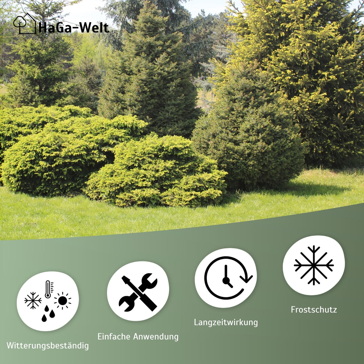 Mineralünger für Nadelbäume - perfekt für Koniferen und Eibenhecken – HaGa-Welt