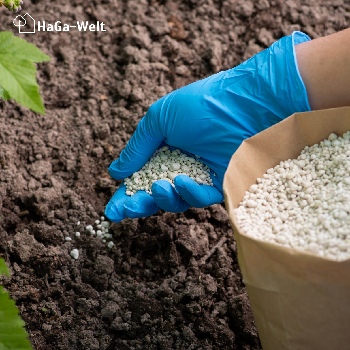 Hortensiendünger – Mineraldünger für Hortensien, Rhododendron & Azaleen – HaGa-Welt