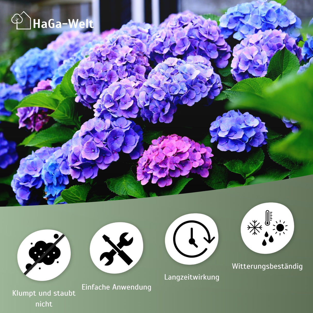 Hortensiendünger – Mineraldünger für Hortensien, Rhododendron & Azaleen – HaGa-Welt