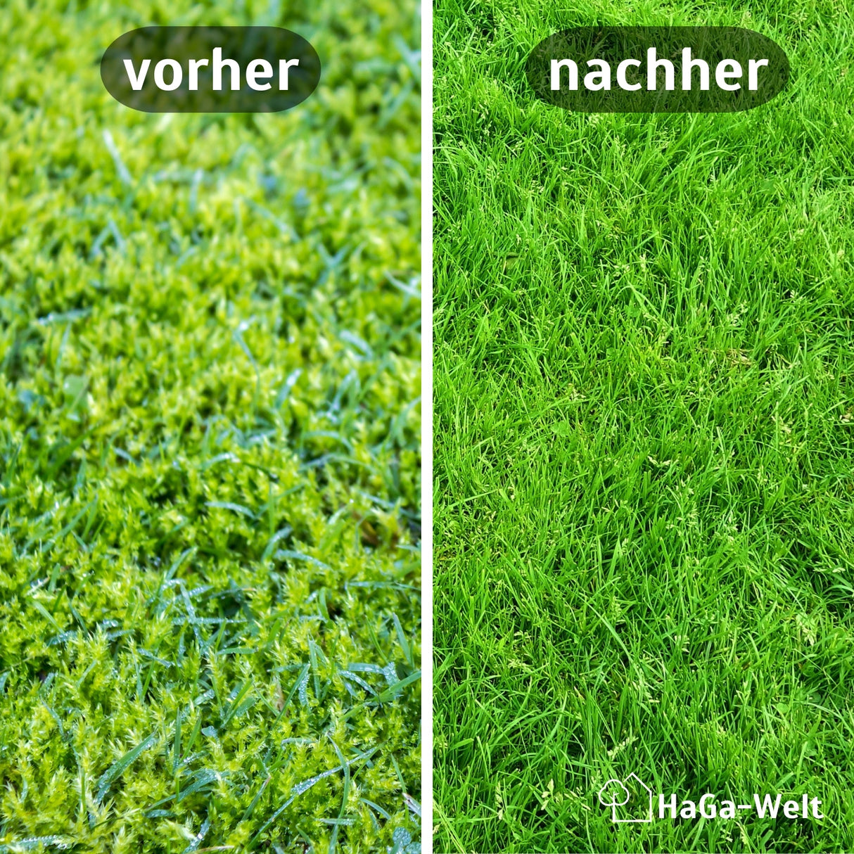 Rasendünger Moos-Stop gegen Unkraut und Moos – HaGa-Welt