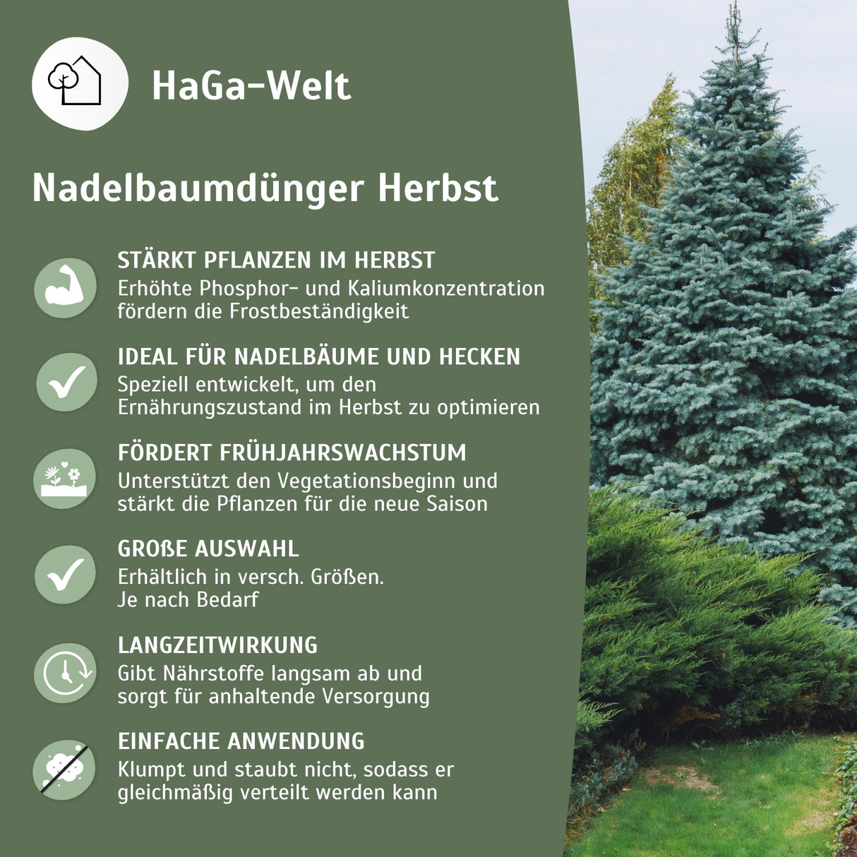 Herbstdünger für Nadelbäume - perfekte für Eibenhecken und Koniferen – HaGa-Welt