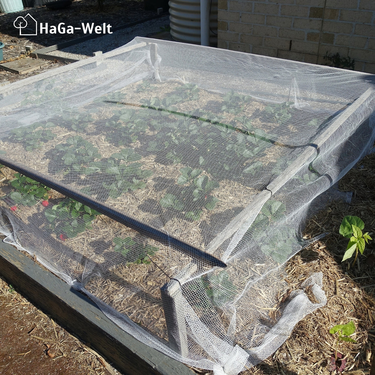 HaGa® Premium Insekten- und Vogelschutznetz Meterware , weiß in 200cm Breite – HaGa-Welt