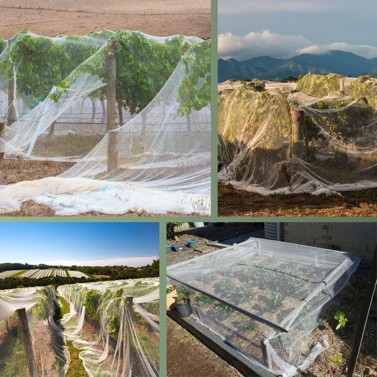 HaGa® Premium Insekten- und Vogelschutznetz Meterware , weiß in 200cm Breite – HaGa-Welt