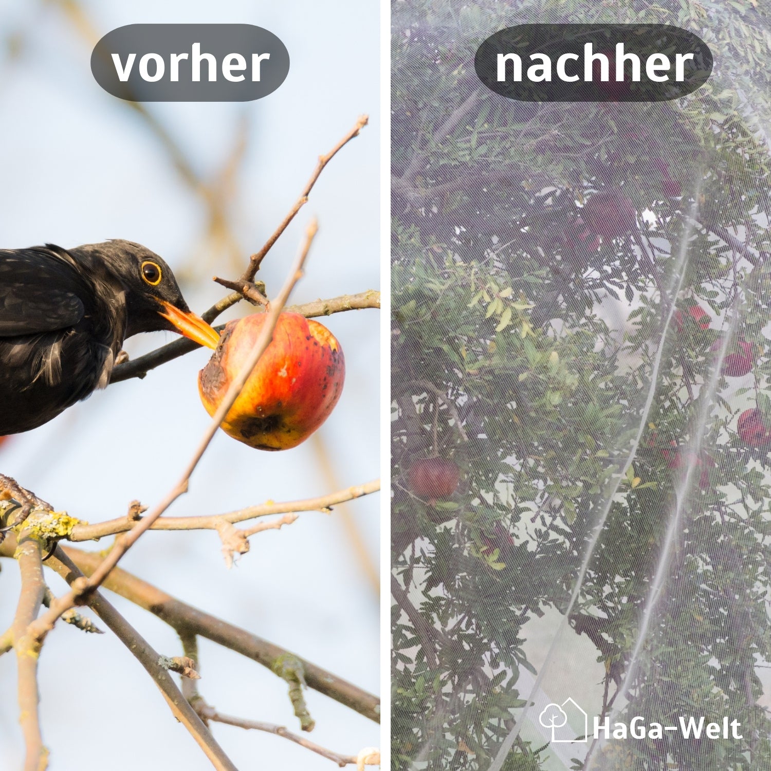 HaGa® Premium Insekten- und Vogelschutznetz Meterware , weiß in 200cm Breite – HaGa-Welt