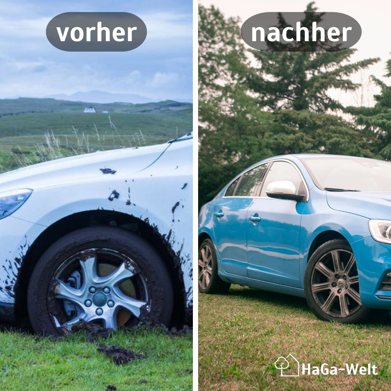 Premium Rasenschutzgitter – starker Schutz für Ihren Rasen – HaGa-Welt