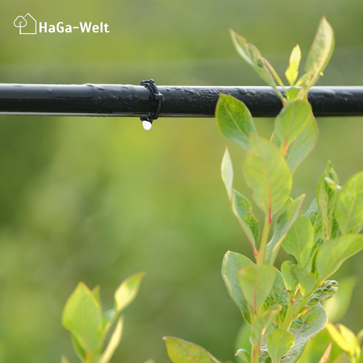 Schlauchhalter – die perfekte Aufhängung von Tropfschläuchen – HaGa-Welt