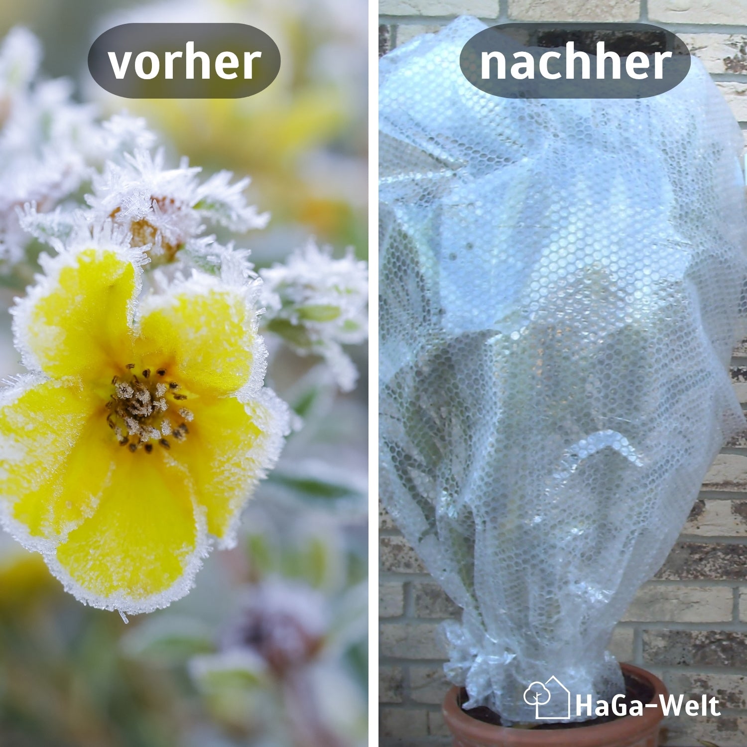 Thermofolie, mit Luftpolster – isolierender Pflanzenschutz – HaGa-Welt