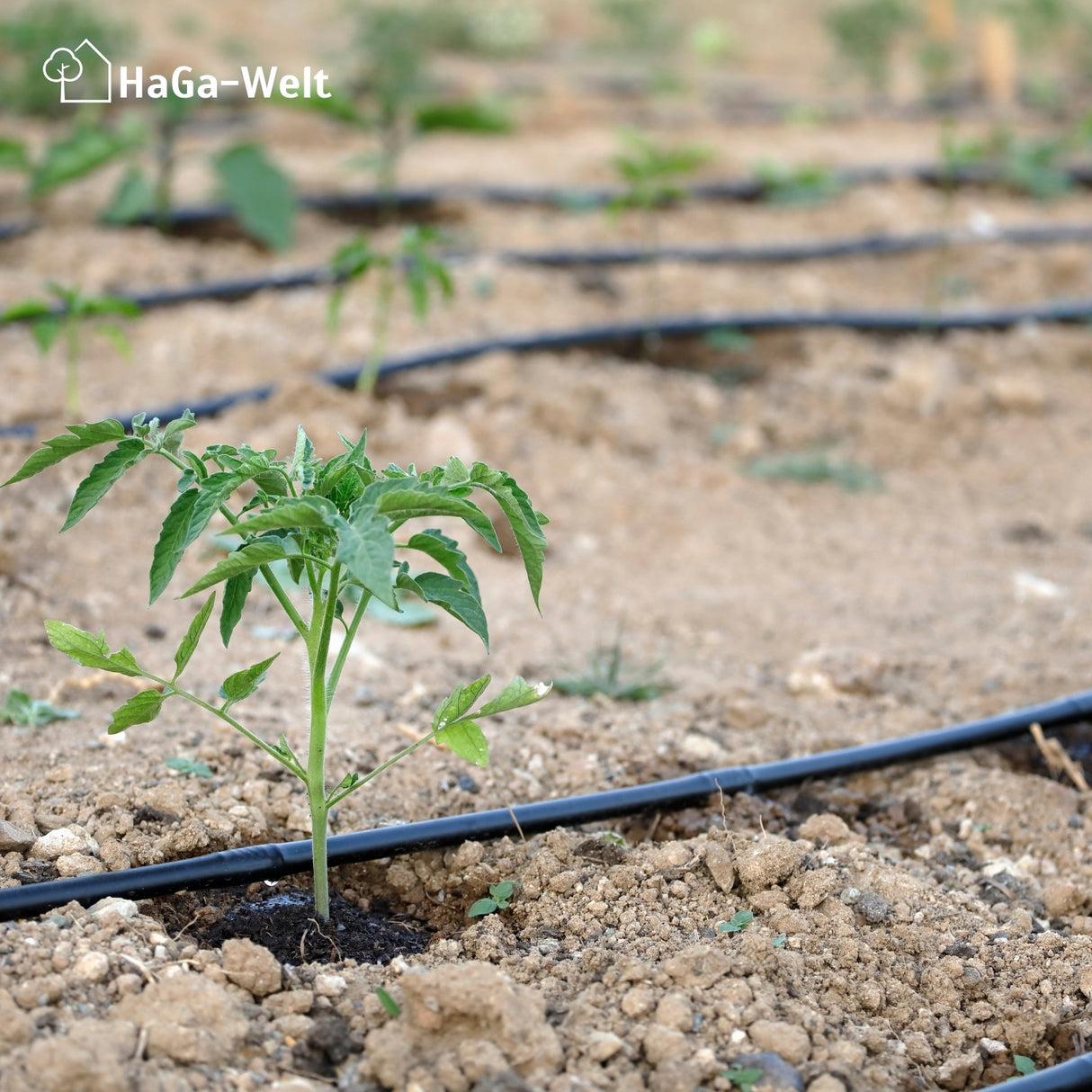 Tropfschlauch mit Druckkompensation in dunkelbraun – HaGa-Welt
