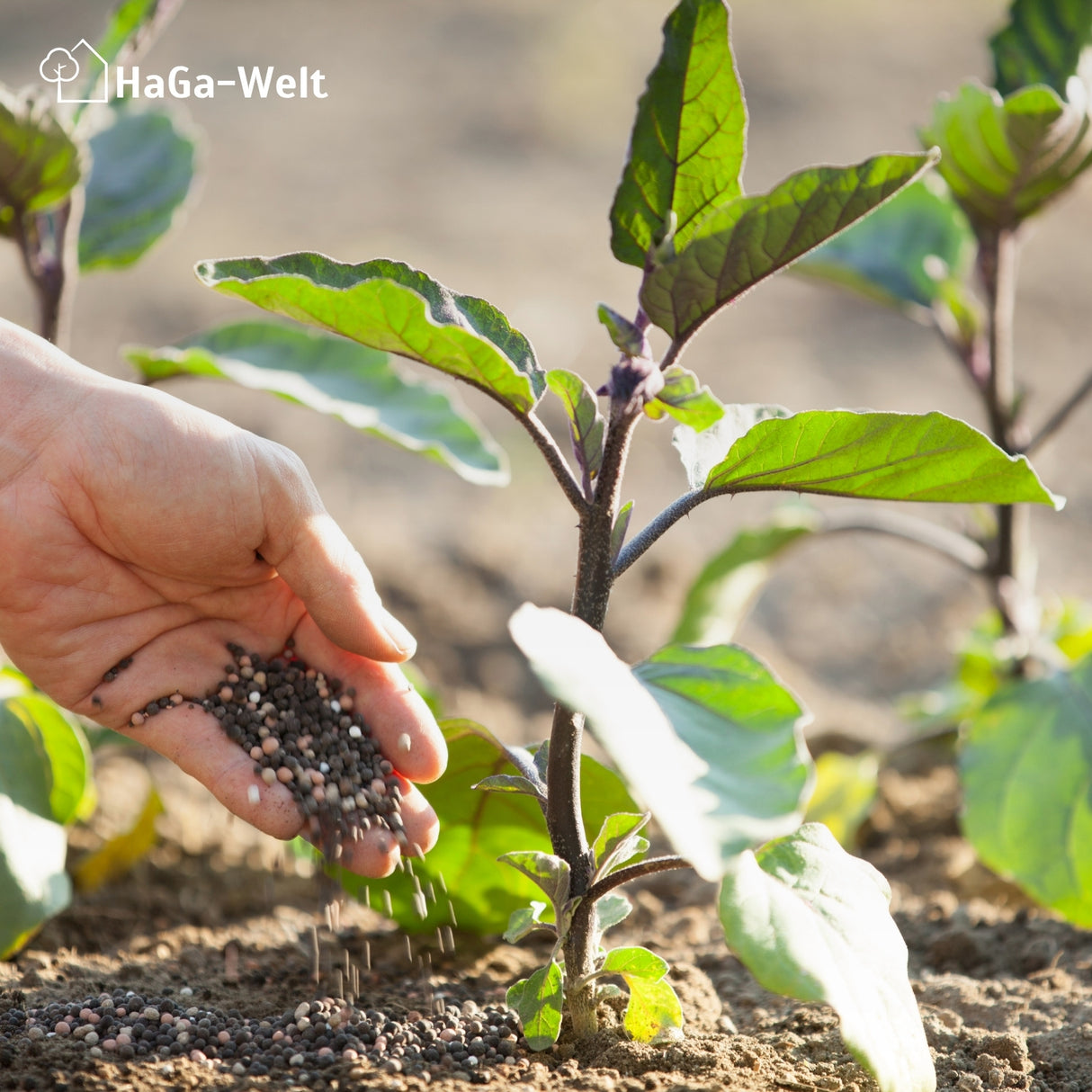Universaldünger - Der Alleskönner unter den Düngern – HaGa-Welt