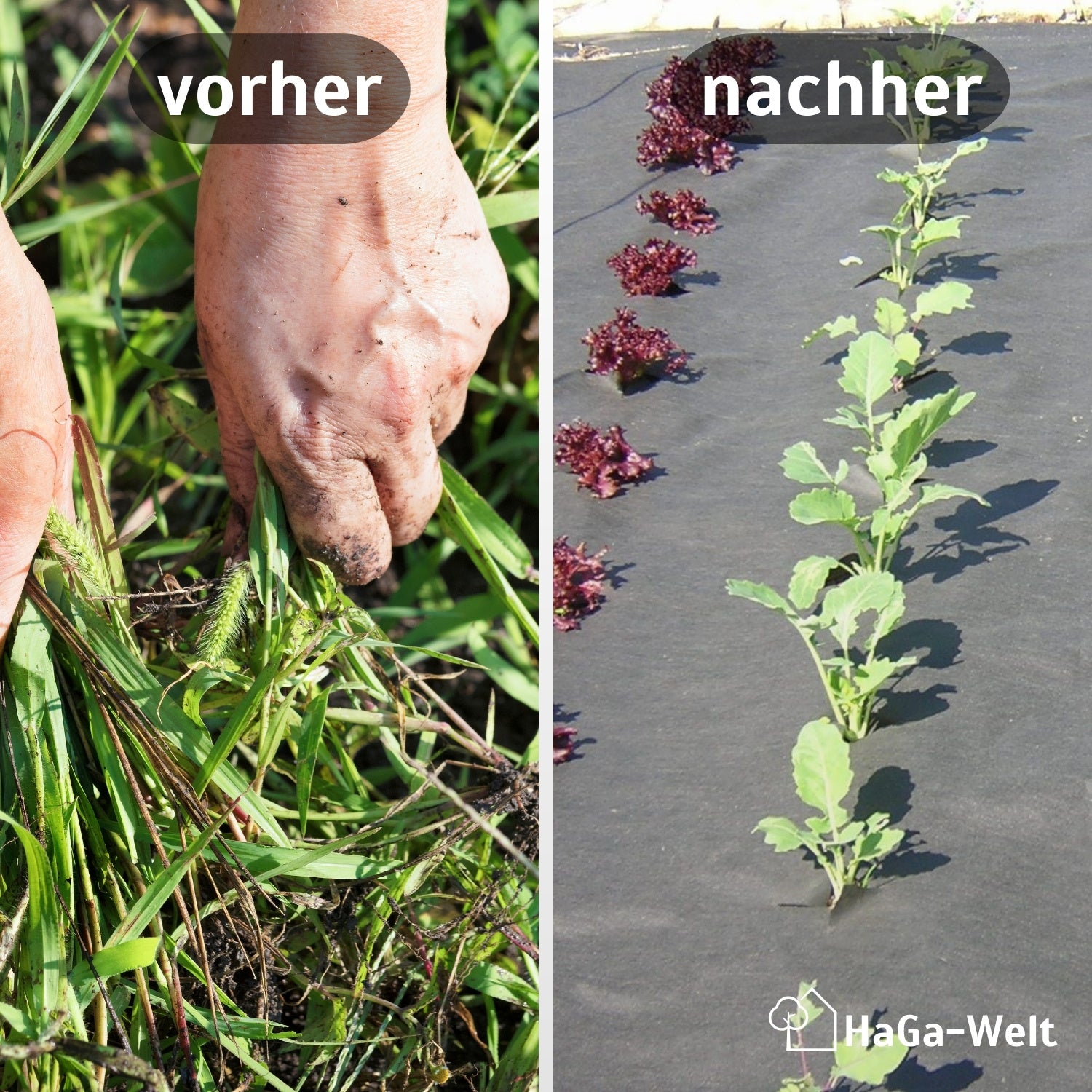 Unkrautvlies 150 g/m² – extra stark, Schluss mit Unkraut entfernen – HaGa-Welt
