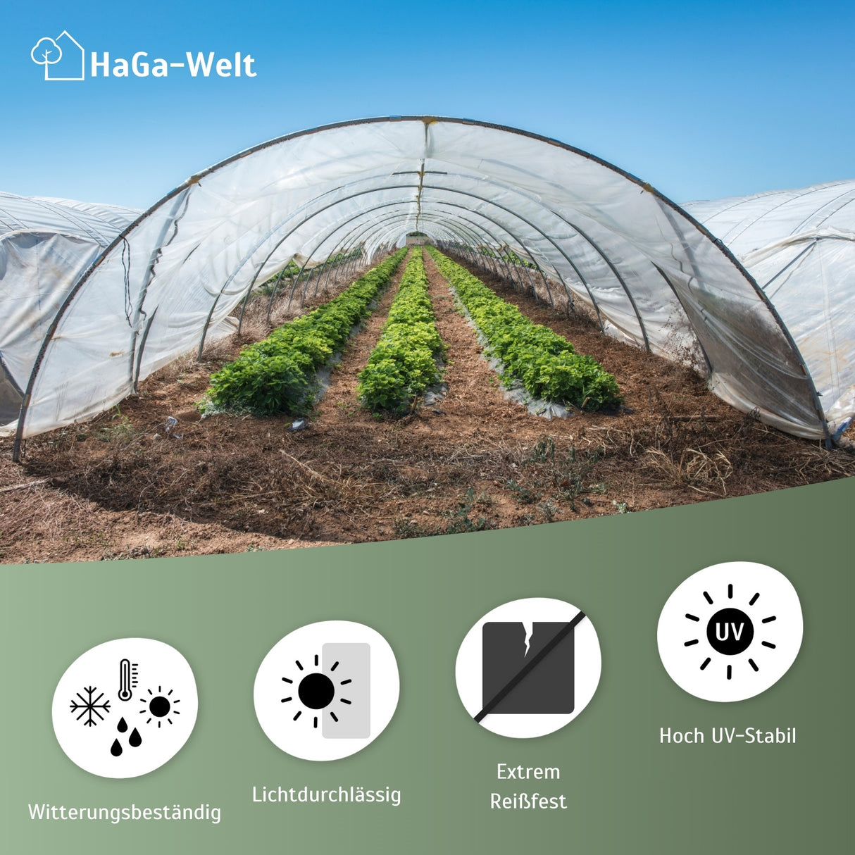 Gewächshausfolie UV2 – geeignet für Folientunnel und Gewächshäuser – HaGa-Welt
