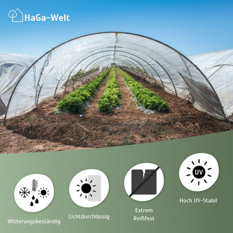 Gewächshausfolie UV2 – geeignet für Folientunnel und Gewächshäuser – HaGa-Welt