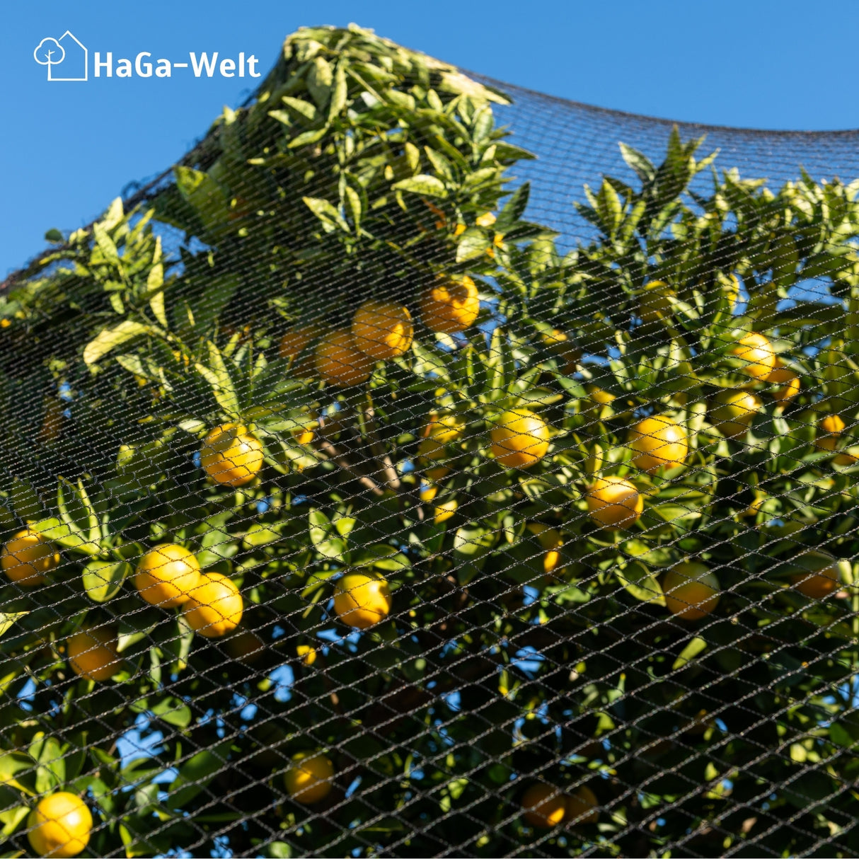 Vogelschutznetz – effektiver Schutz vor Vogelfraß – HaGa-Welt
