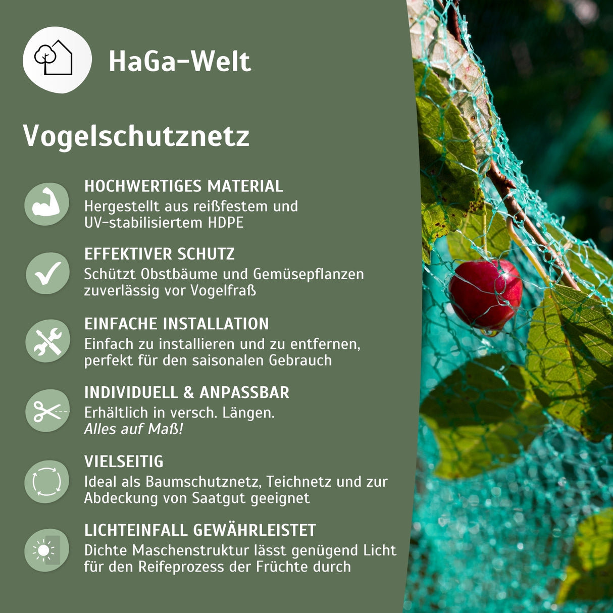 Vogelschutznetz – effektiver Schutz vor Vogelfraß – HaGa-Welt