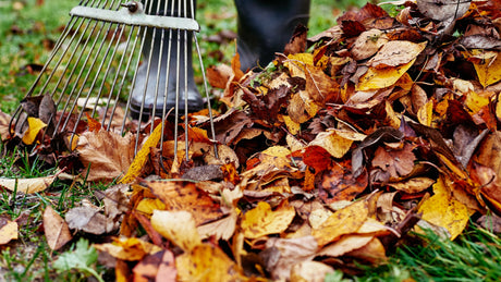 Gartenarbeiten im November: Ihre To-Dos für einen winterfesten Garten