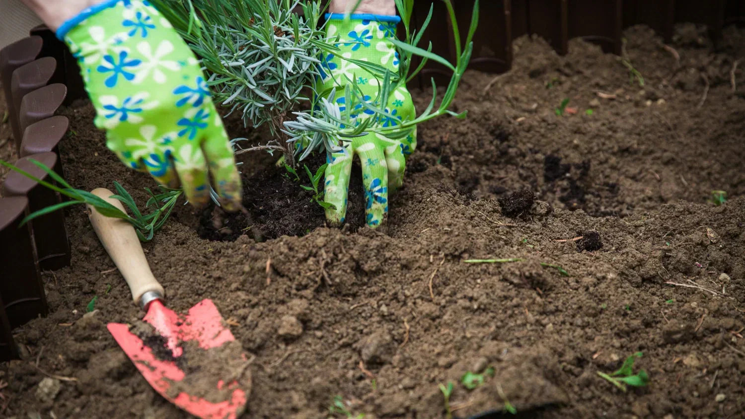 Gartenarbeiten im April – so wird der Garten Frühlingsfit