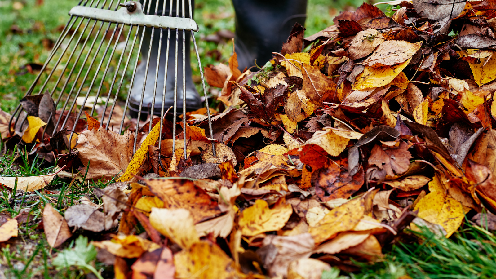 Gartenarbeiten im November