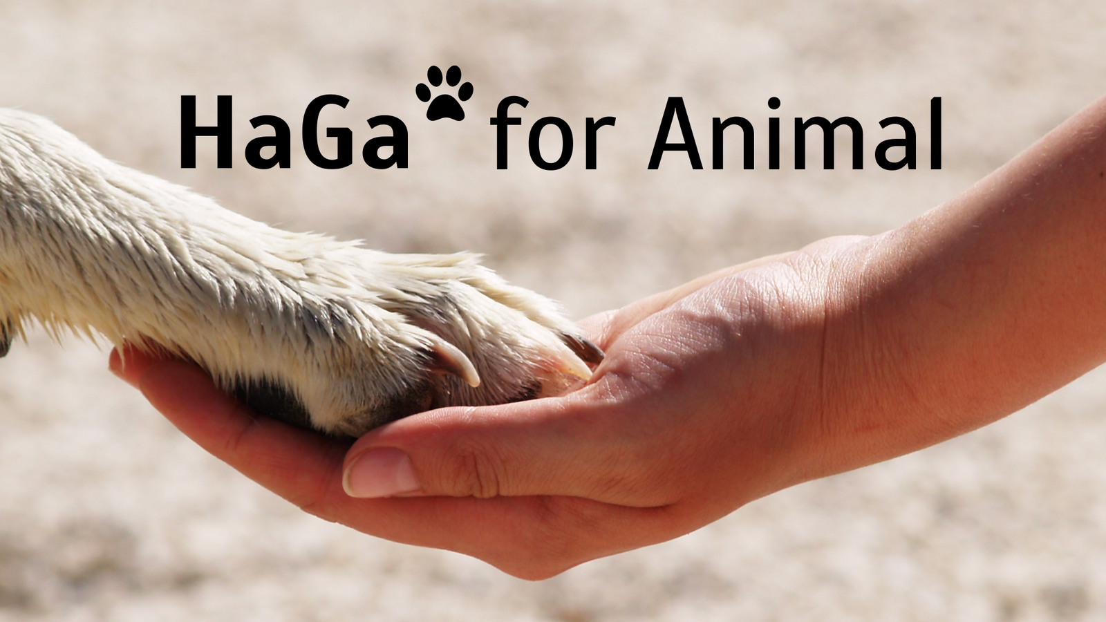 HaGa for Animal