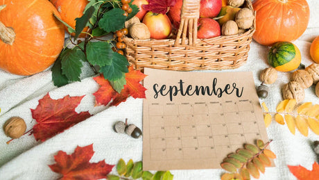 Saisonkalender September