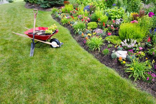 Blumendünger Mineraldünger Dünger Düngemittel für Gartenblumen