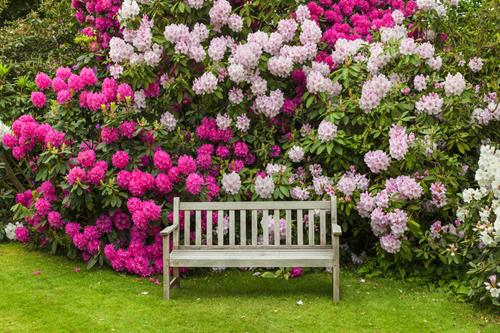 Mineraldünger für Moorbeetpflanzen Dünger Blumen- Pflanzendünger