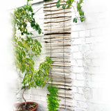 Haselnuss-Rankhilfe - 50x200 cm – HaGa-Welt