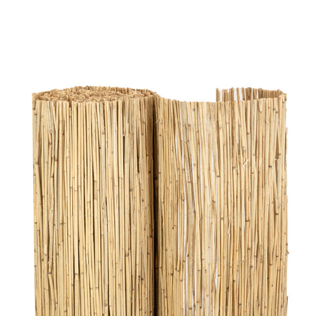 Schilfrohrmatte ST. TROPEZ - Verschiedene Größen – HaGa-Welt