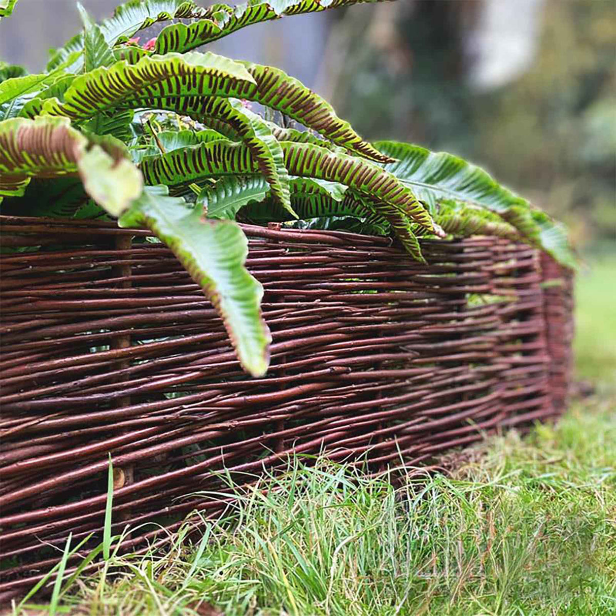 Weidensteckzaun - Gartenidylle aus Naturmaterial – HaGa-Welt