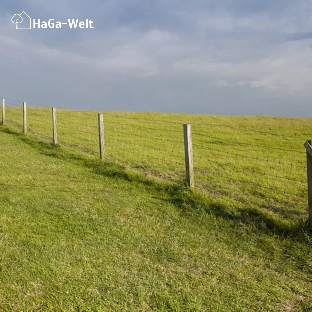 Robuste Holzpfosten in 1m, 1,5m und 1,8m Höhe und 7cm x 7cm für vielseitige Anwendungen – HaGa-Welt