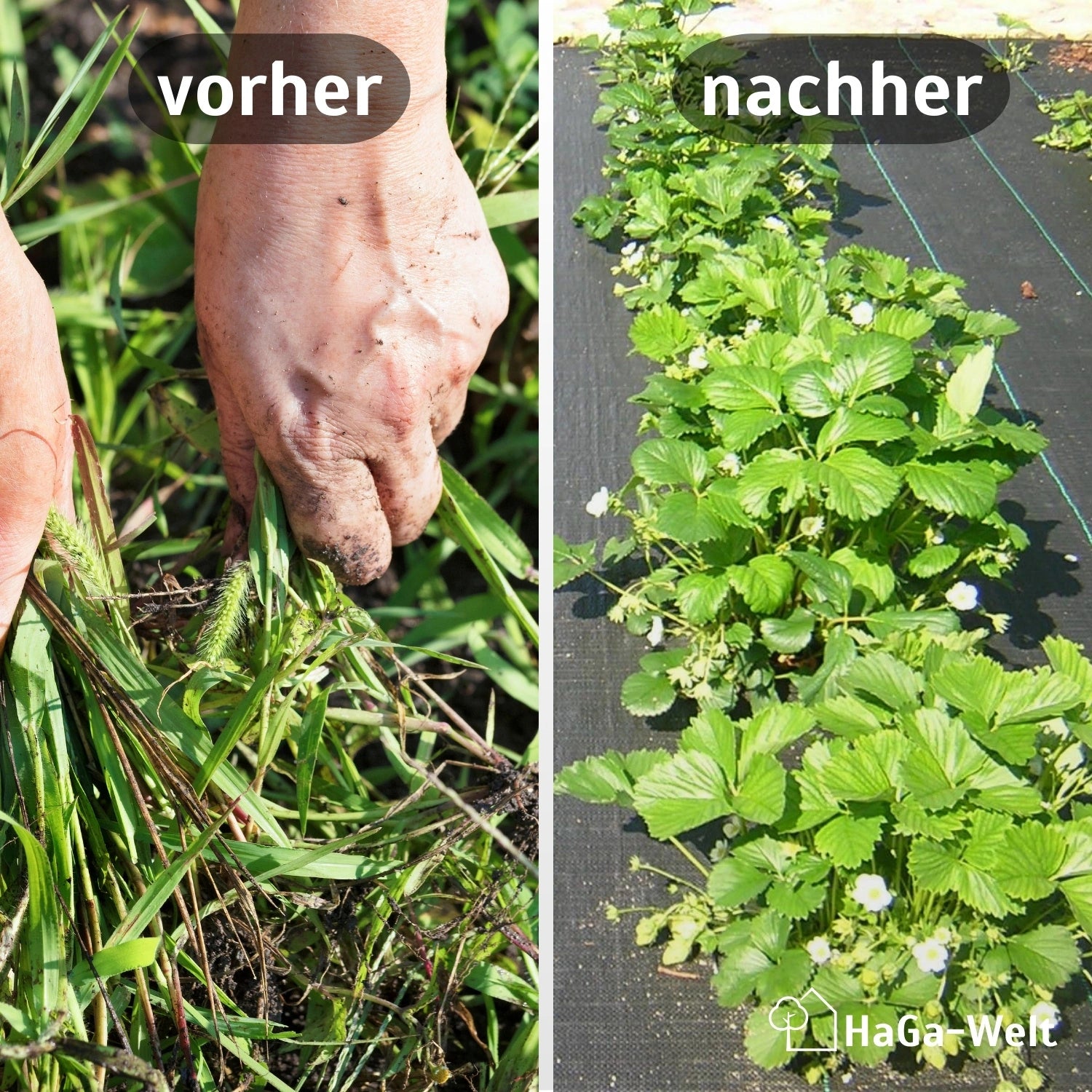 10 M² Leichtes Unkrautflies Unkrautgewebe Bändchengewebe Mulchflies Mulchgewebe Schwarz | Für Haus Und Garten - Foto 8