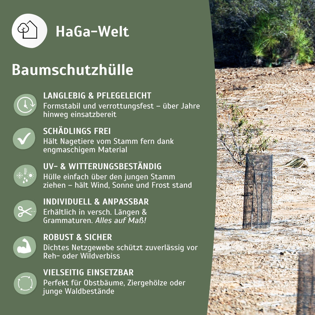 Baumschutzhülle – zuverlässiger Verbissschutz für junge Bäume – HaGa-Welt