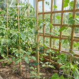 Bindedraht – vielseitiger Draht für den Garten und zum Basteln – HaGa-Welt