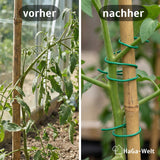 Bindedraht – vielseitiger Draht für den Garten und zum Basteln – HaGa-Welt