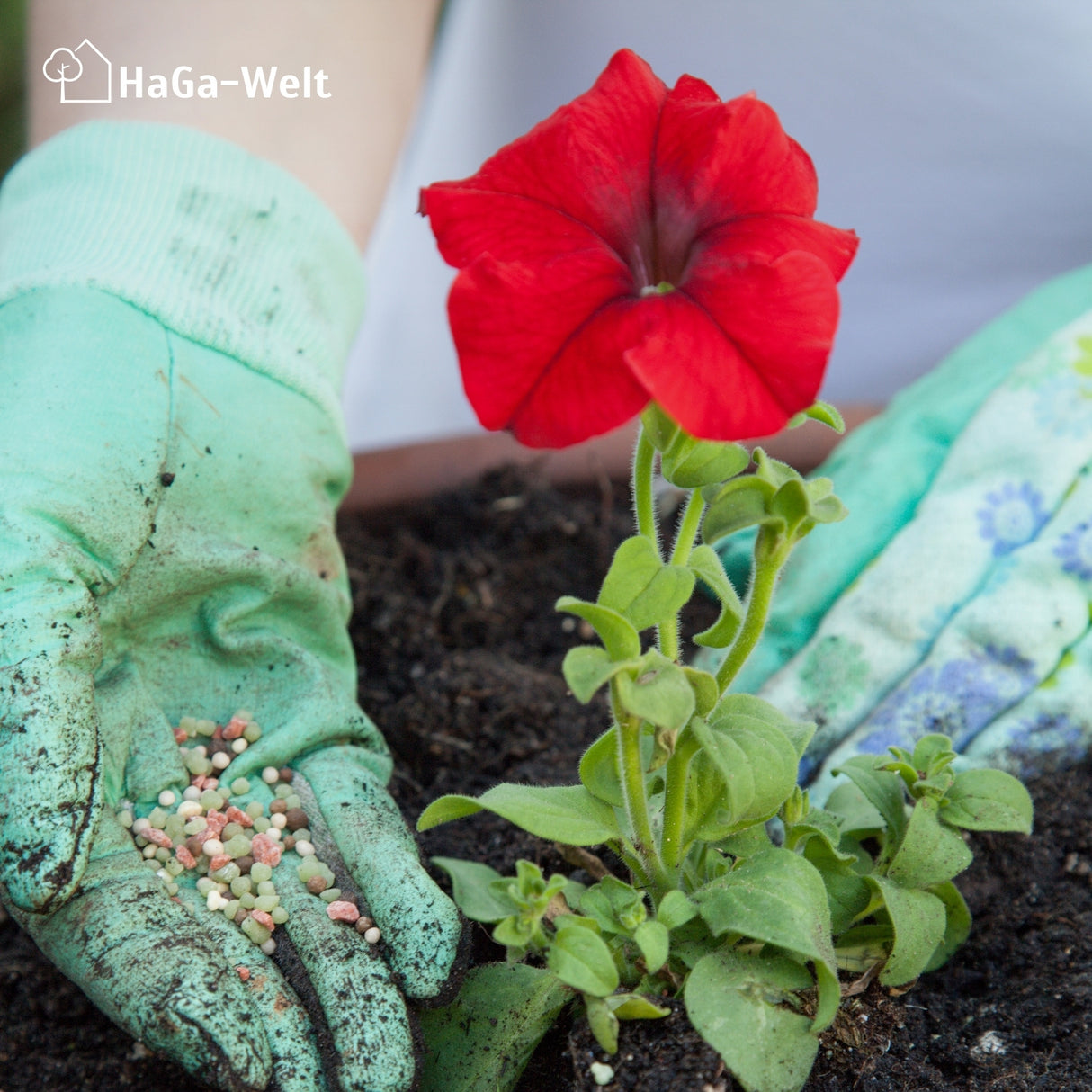 Blumendünger - Dünger für gesunde Blumen – HaGa-Welt