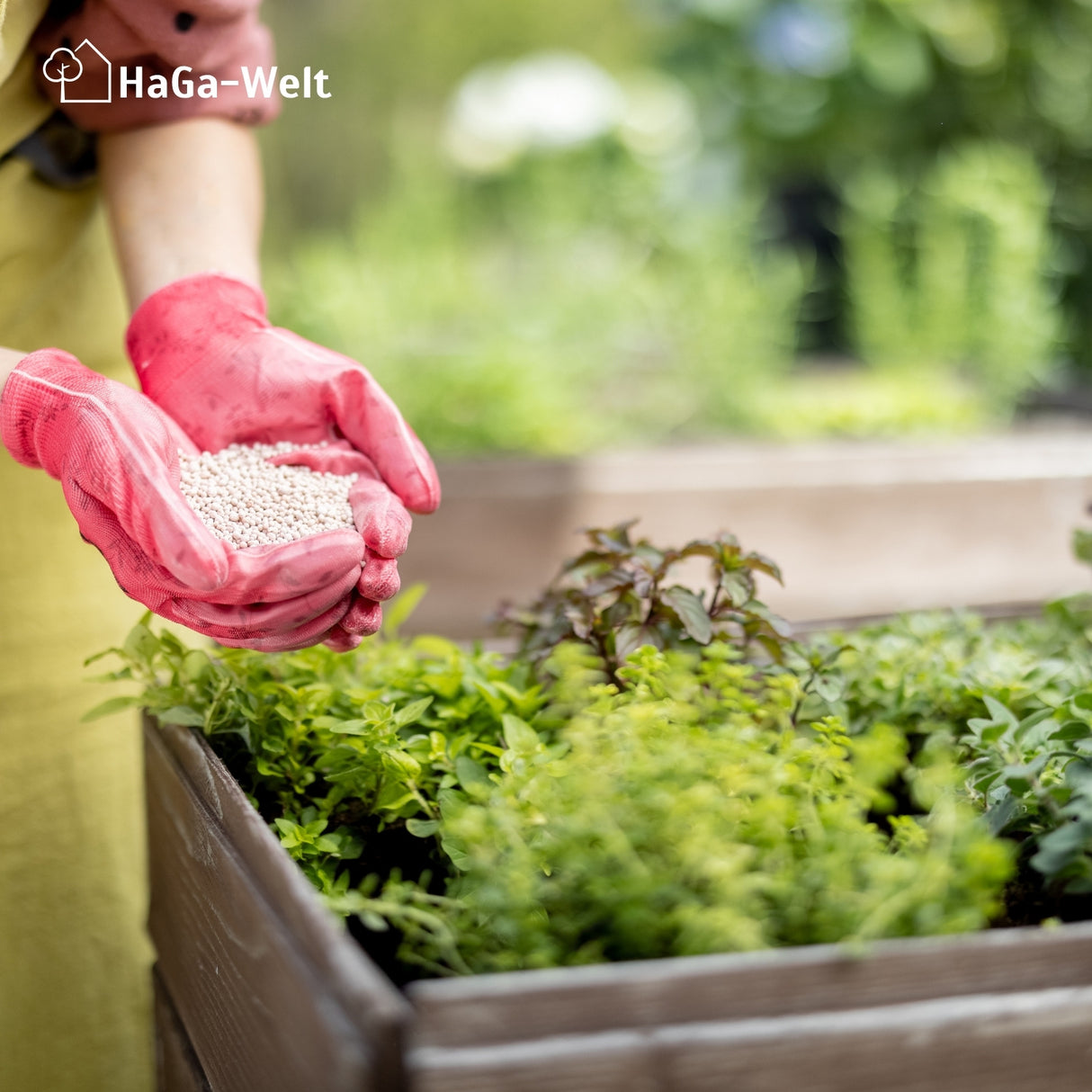 Blumendünger - Dünger für gesunde Blumen – HaGa-Welt