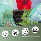 Blumendünger - Dünger für gesunde Blumen – HaGa-Welt