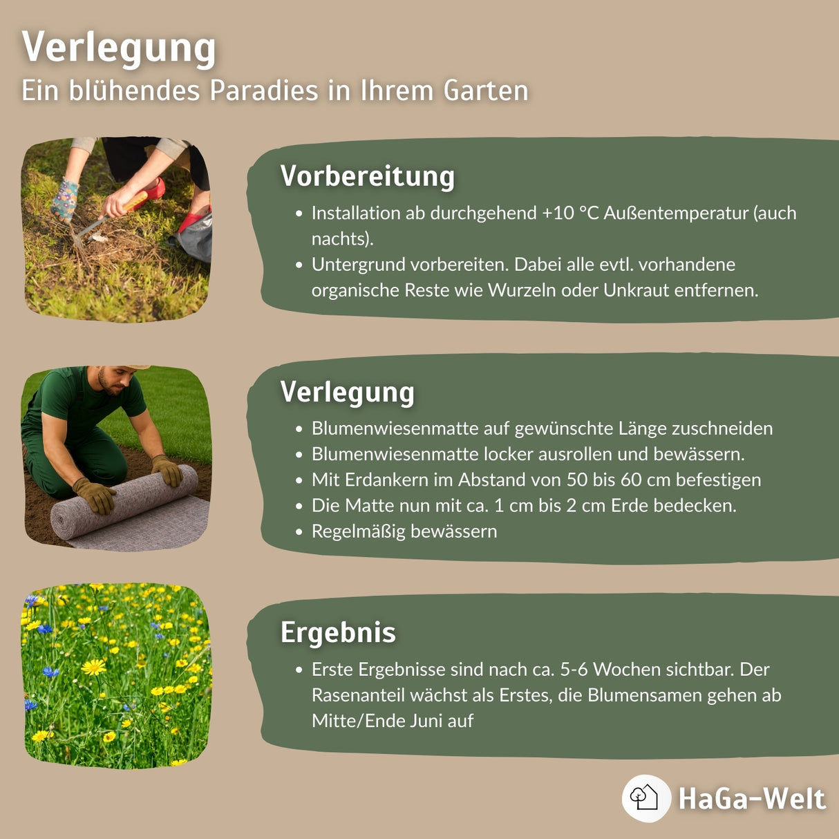 Blumenwiesenmatte – eine Wildblumenwiese für Ihren Garten – HaGa-Welt
