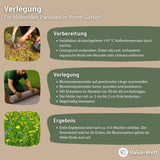 Blumenwiesenmatte – eine Wildblumenwiese für Ihren Garten – HaGa-Welt