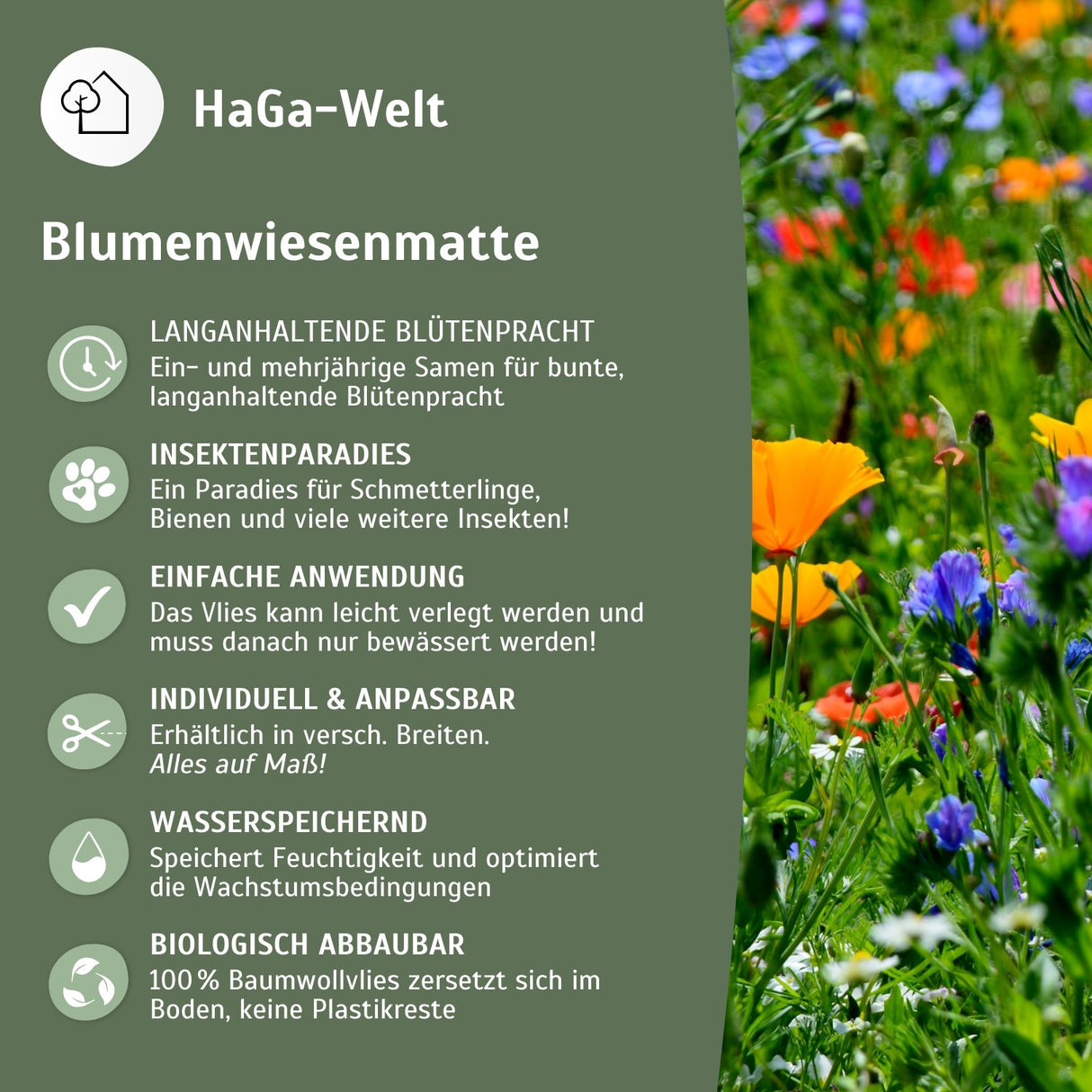 Blumenwiesenmatte – eine Wildblumenwiese für Ihren Garten – HaGa-Welt