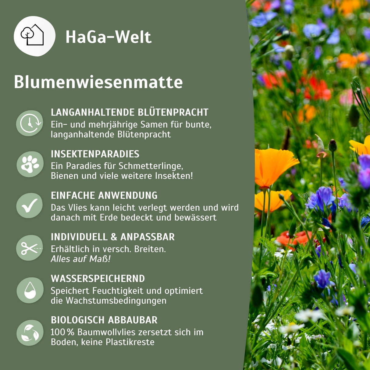 Blumenwiesenmatte – eine Wildblumenwiese für Ihren Garten – HaGa-Welt