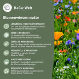 Blumenwiesenmatte – eine Wildblumenwiese für Ihren Garten – HaGa-Welt