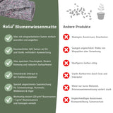 Blumenwiesenmatte – eine Wildblumenwiese für Ihren Garten – HaGa-Welt