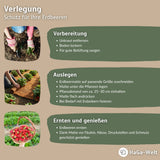 Erdbeermatte in 0,5m Br. Meterware 600g/m² beidseitig mit Naturlatex besprüht – HaGa-Welt