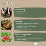 Erdbeermatte in 0,5m Br. Meterware 600g/m² beidseitig mit Naturlatex besprüht – HaGa-Welt