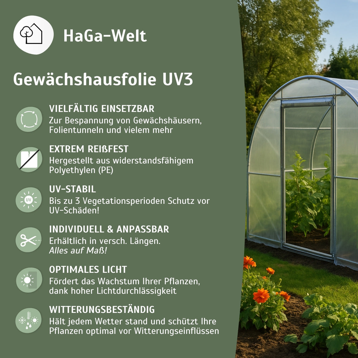 Gewächshausfolie UV3 – die perfekte Folie für Ihr Gewächshaus – HaGa-Welt