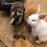 Hanfmatte - atmungsaktive Hanfmatte, perfekte Unterlage für Kleintierstreu – HaGa-Welt