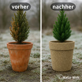 Hanfmatte – perfekter Winterschutz für Pflanzen und Trittschalldämmung im Haus 500 g/m² – HaGa-Welt