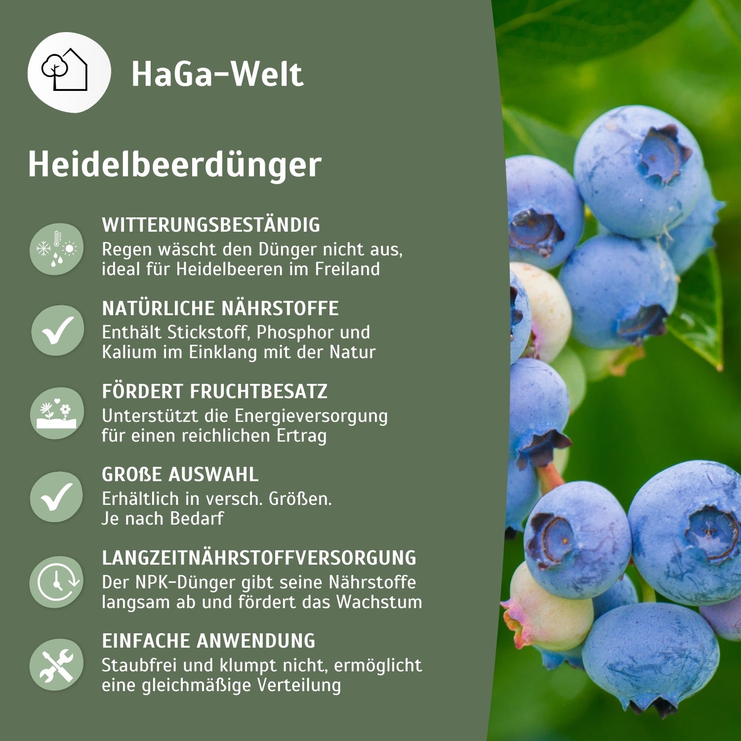 dünger nährstoffe Heidelbeerdünger